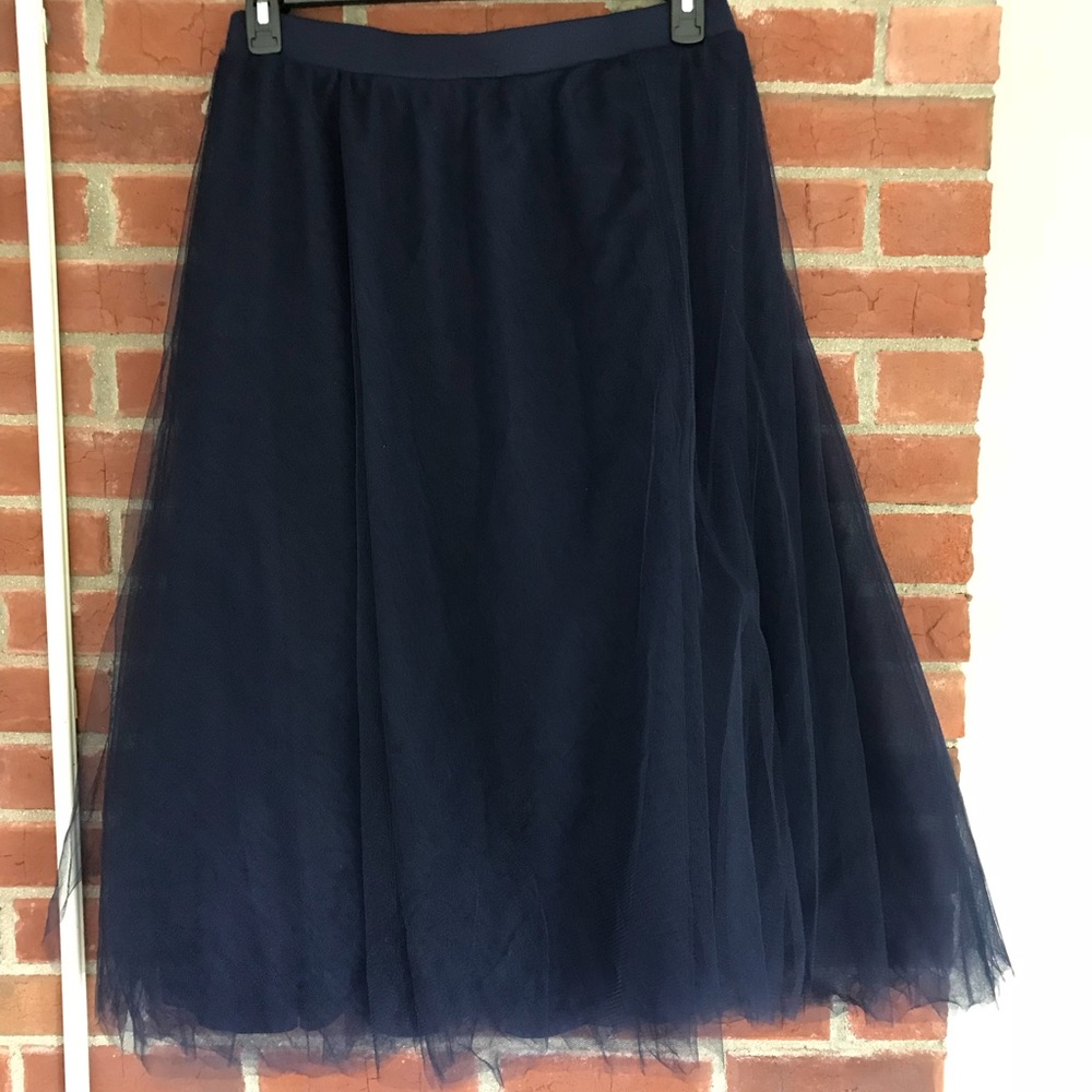 Navy Tulle Skirt